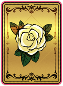 card5